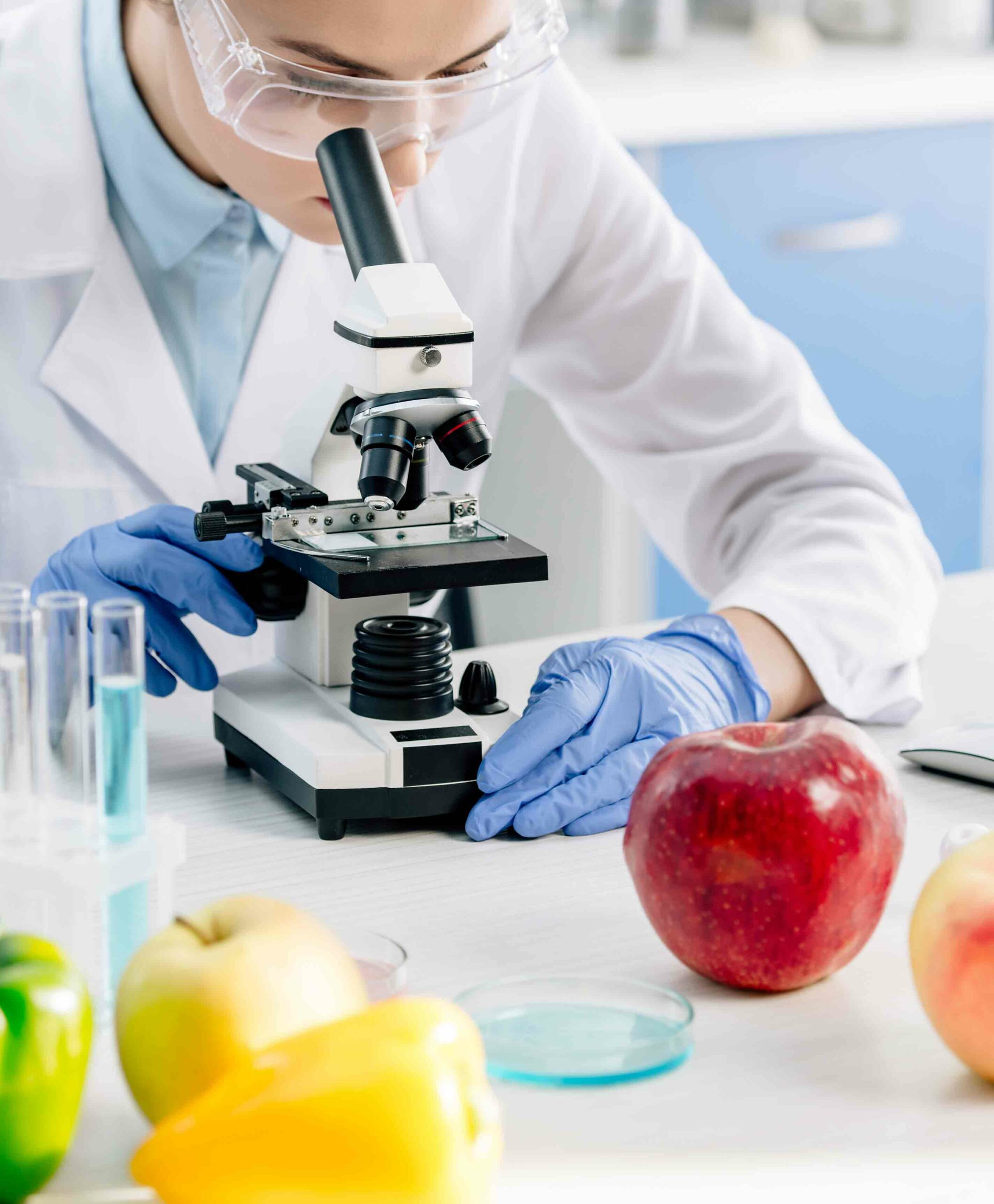 Maestría Internacional en Biotecnología Alimentaria – Diploma Acreditado por Apostilla de la Haya
