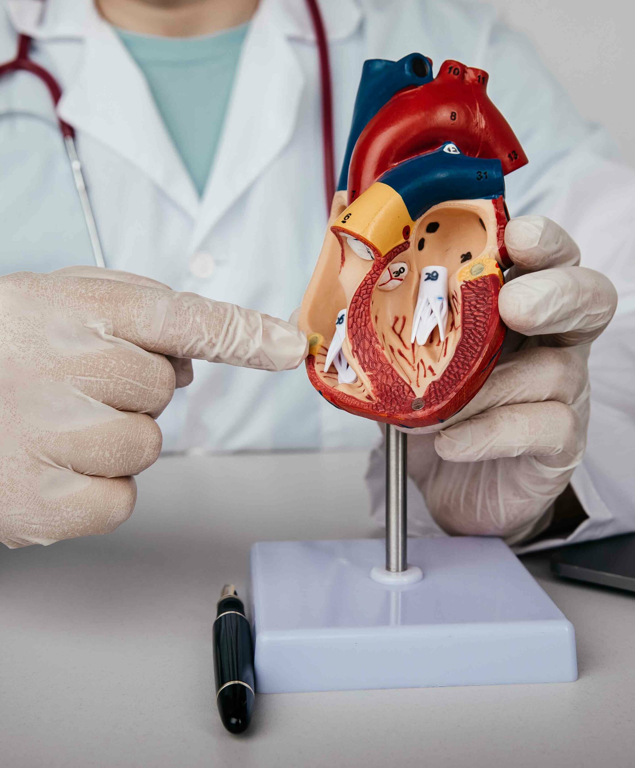 Maestría Internacional en Cardiología y Enfermedades del Aparato Circulatorio