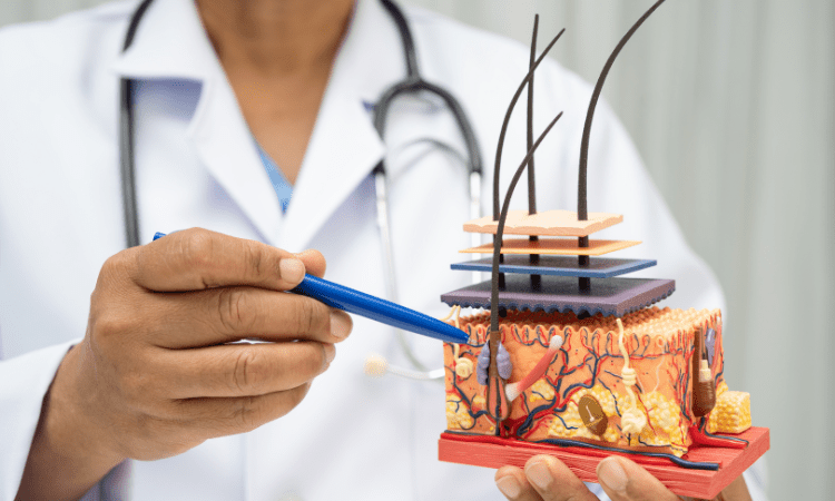 Diagnóstico del cuero cabelludo: cómo se realiza y cuáles son sus enfermedades más comunes
